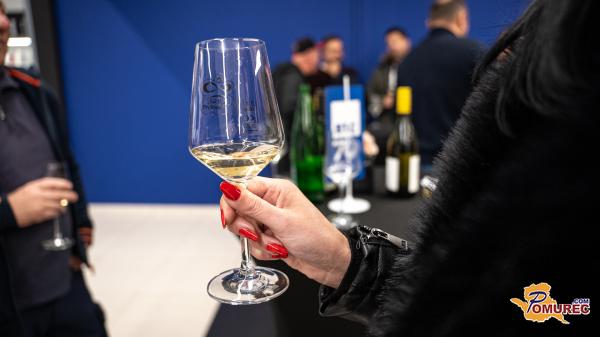 FOTO: Odlična glasba, vina in kulinarično razvajanje ob martinovem