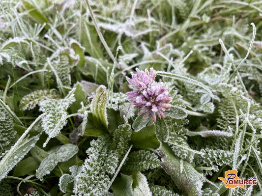 FOTO: Temperature pod ničlo: V objektiv smo ujeli ledene prizore jutranje slane 