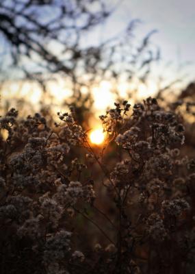 V ponedeljek sončno, v torek pa ...
