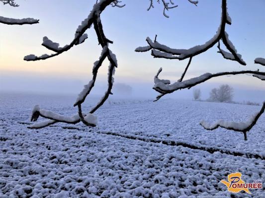 Prvi znaki zime, pooblačitev in snežinke