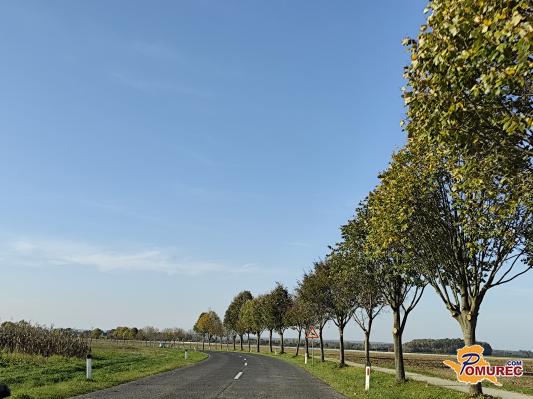 Občina poziva k obrezovanju in vzdrževanju vegetacije za večjo varnost v prometu