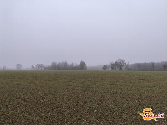 Oblačnost bo še naprej vztrajala, takšne so napovedi