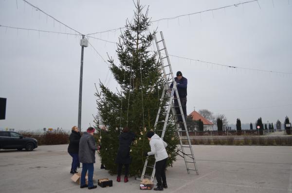 FOTO: V Odrancih tradicionalno okrasili novoletno jelko 