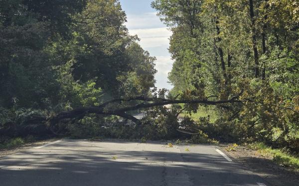 V Pomurju sunki vetra tudi čez 70 km/h. Kako bo s padavinami?