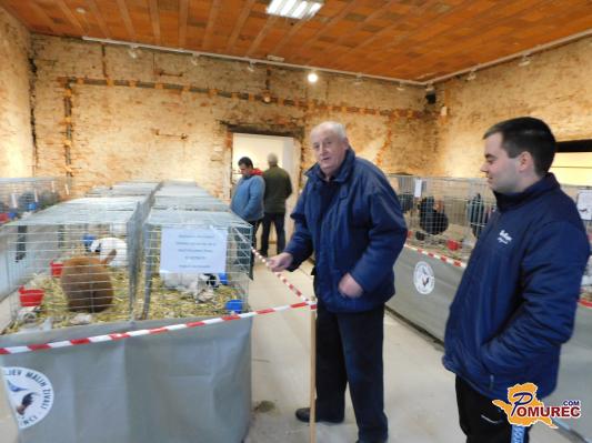 FOTO: Društvena razstava malih živali v beltinskem gradu