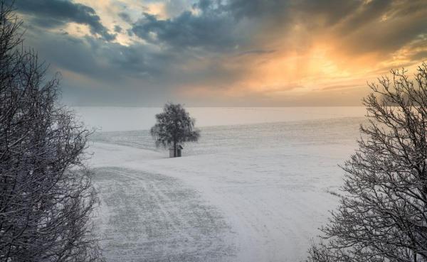 Zimski solsticij prinaša sneg: Kaj nas čaka do ponedeljka?