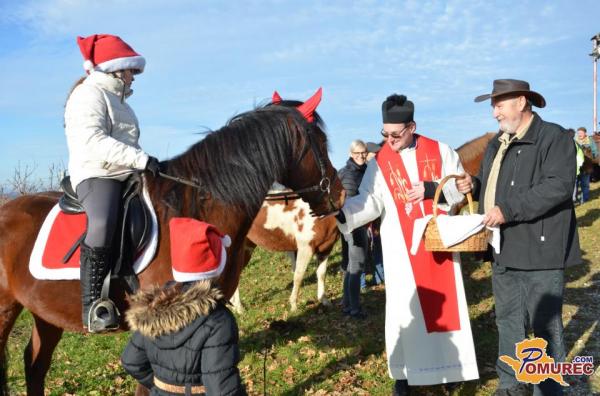 Zakaj se na Štefanovo blagoslavljajo konji?