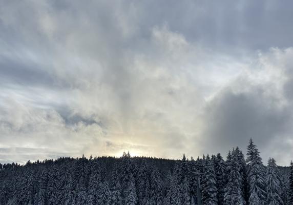 Čaka nas pravo zimsko vreme. Kje bo snežilo?