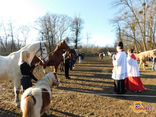 FOTO: V Ižakovcih je bil blagoslov konj