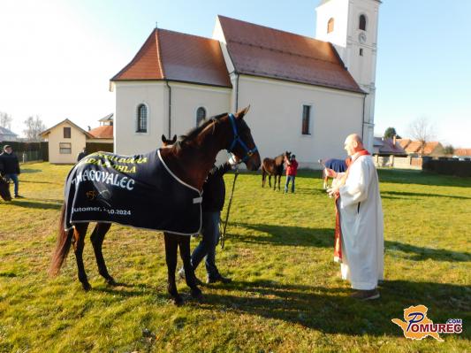 FOTO: V Veržeju je potekal blagoslov konj