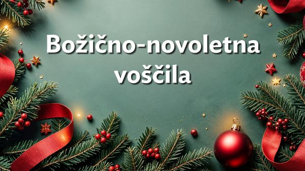 Želijo vam vse dobro v letu 2025