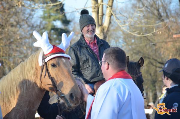 Kje v Pomurju bodo blagoslovili konje?