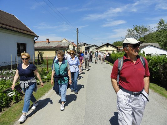 FOTO: Pohod Murski cvejt na Dolnji Bistrici