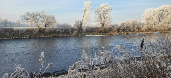 FOTO: V Gradišču so se sprehodili skozi pravo zimsko pravljico