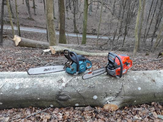 Tragedija v gozdu: 65-letni moški umrl pri podiranju dreves