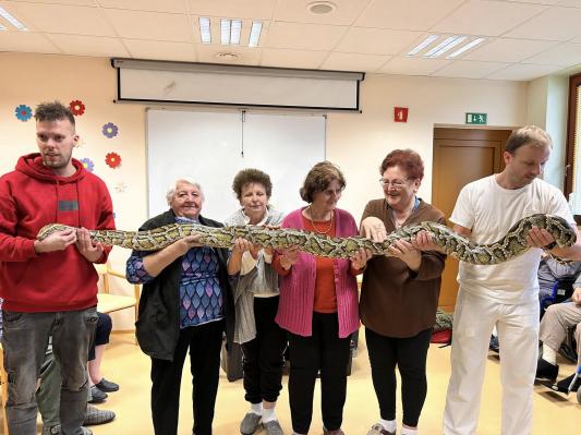 FOTO: Eksotične živali popestrile dan v domu starejših