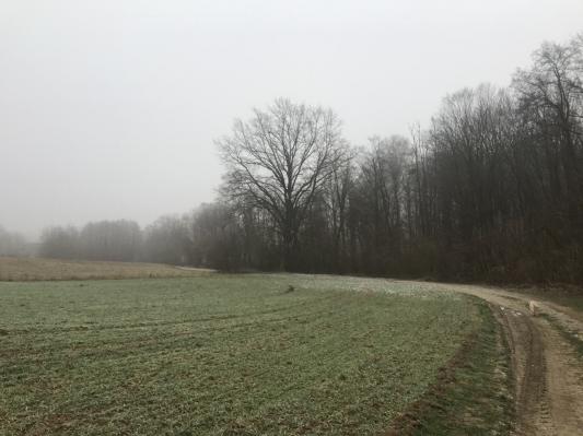 Jutri se bodo začele pojavljati padavine, kako bo pri nas?