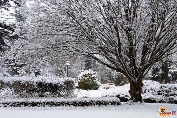 Kakšno vreme se nam obeta?