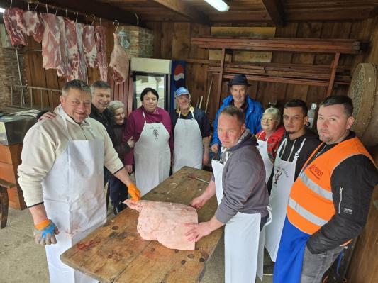 FOTO: Oživljanje tradicije s kolinami na cvenskem Grüntu