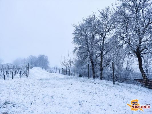 Napoved za Pomurje: Sneg, ledeni dež in zimske temperature