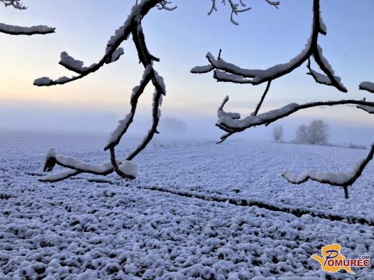 Bomo dočakali sneg? Meja sneženja se bo spustila