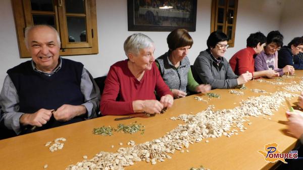FOTO: Organizirali so ročno luščenje bučnega semena