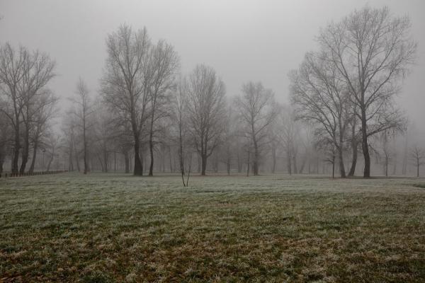 Mrzel in oblačen dan, kaj nas čaka konec tedna?