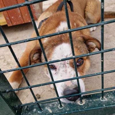 FOTO: Ali lahko Jenny rešite pred hladnim boksom?