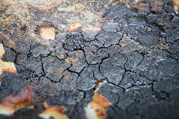 To otoško državo je stresel močan potres