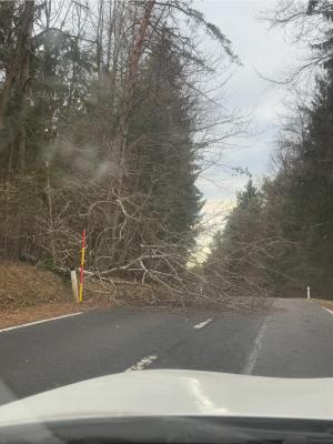 FOTO: Veter že povzroča nevšečnosti v Pomurju