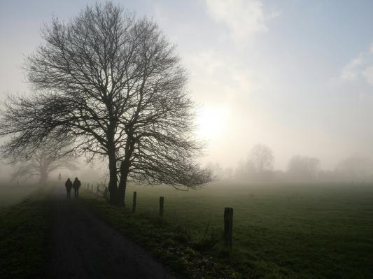 V prihodnjih dneh jasno, a hladno vreme