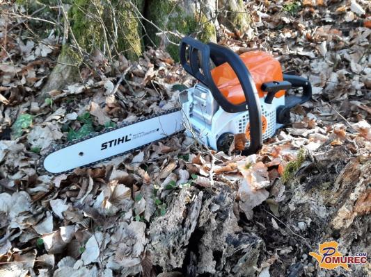 Najmanj smrtnih nesreč v gozdovih v zadnjem desetletju 