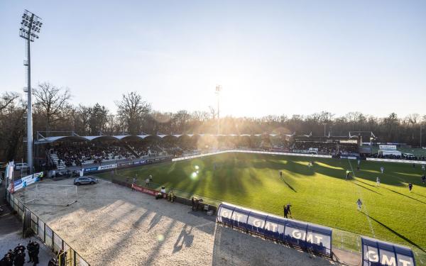 Domjan in Jovićević ponovno črno-bela