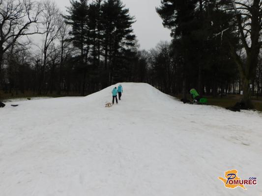 FOTO: Zimske radosti na umetnem snegu v beltinskem parku
