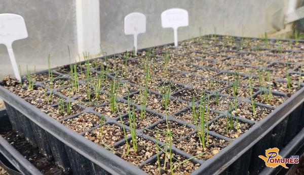 Priprave na vrtnarsko sezono se začenjajo