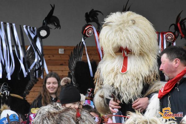 Naj bo pust vesel in varen: nasveti policije za brezskrbno rajanje