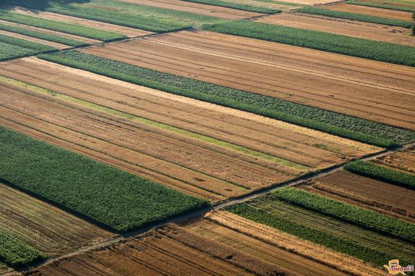 Skoraj 900.000 evrov za izboljšanje kmetijskih površin v tem pomurskem naselju