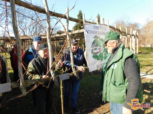 FOTO: V Beltincih ohranili star vinogradniški običaj