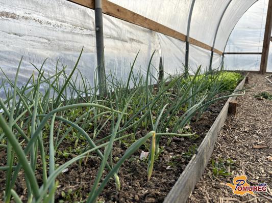 Čas je za pripravo vrta 