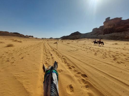 Uroš Potočnik: Ljubezen do konj in izzivi vzdržljivostnega jahanja