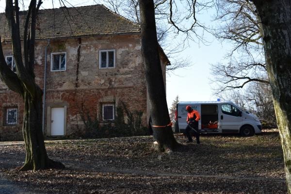 V grajskem parku so odstranili nevarno drevo