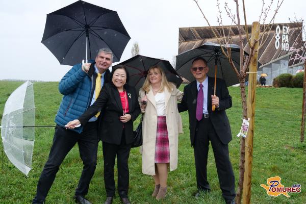 FOTO: Razstava o Expu in nova japonska češnja