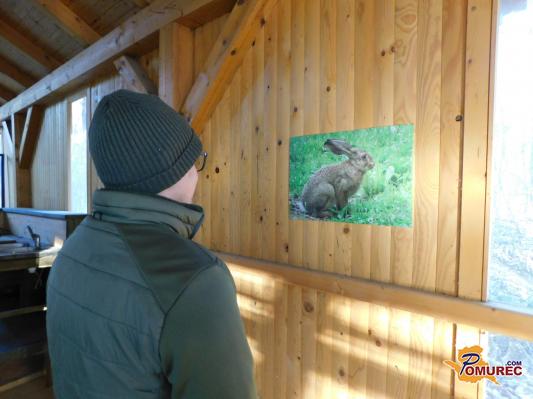 FOTO: Lovske fotografije krasijo prostor pri lovskem domu Bogojina