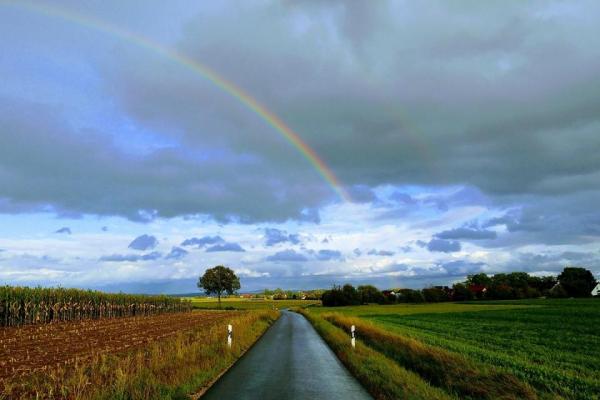 Konec tedna s spremenljivim vremenom, kako bo v prihodnjih dneh?