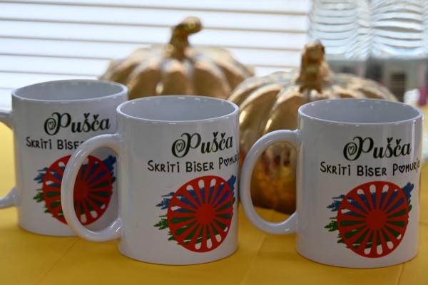 10 zanimivosti o Romih