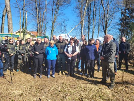 FOTO: Predsednica države pomagala pri pogozdovanju v Apačah