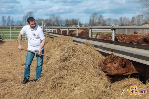 FOTO in VIDEO: Tam, kjer rdeči angus ni le pasma, ampak ponos treh generacij – Kmetija Horvat