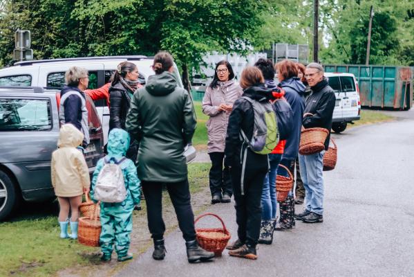 FOTO: Divji okusi Mure - Nabiralniški sprehod in divja malica