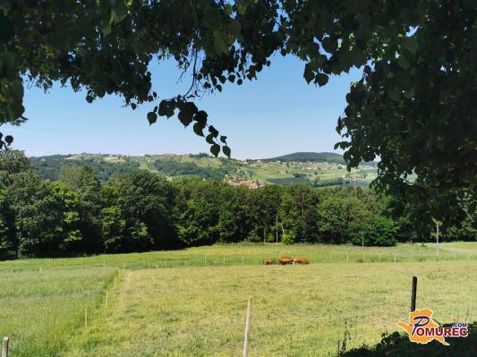 Danes v Pomurju še brez dežja, kako bo v prihodnjih dneh?