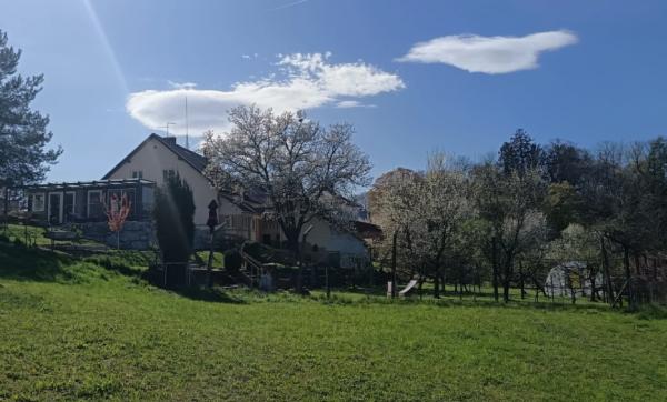 Dogodek Kavarne Platana prestavljen